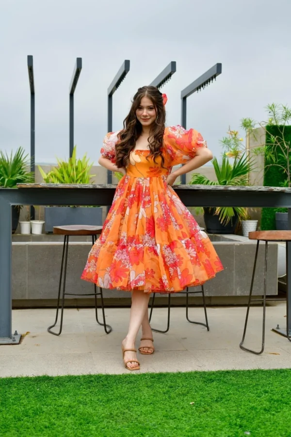 Layla organza printed dress