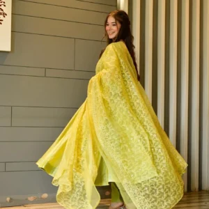 light green chanderi suit set