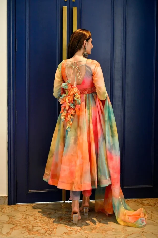 multicolor organza suit set - Image 4
