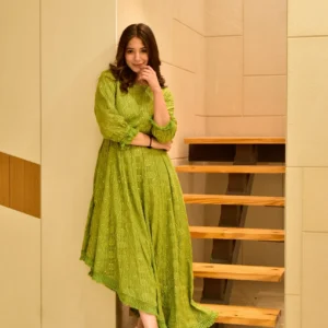 blush green embroidered dress