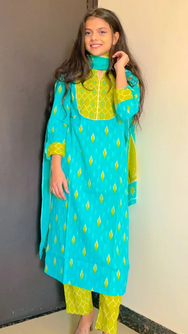 KesariyaVanity Elegant Ikkat Cotton Suit Set - DEAL - Image 5