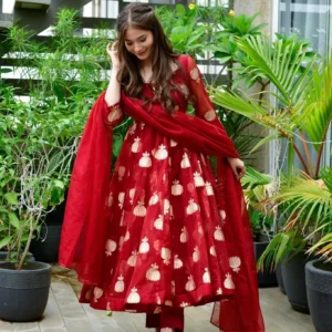 haafiza maroon organza suit set