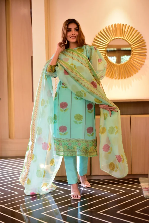 aanavi organza suit set - Image 2