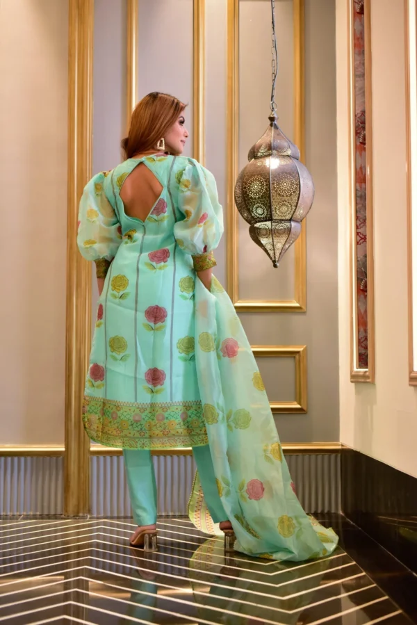 aanavi organza suit set - Image 3