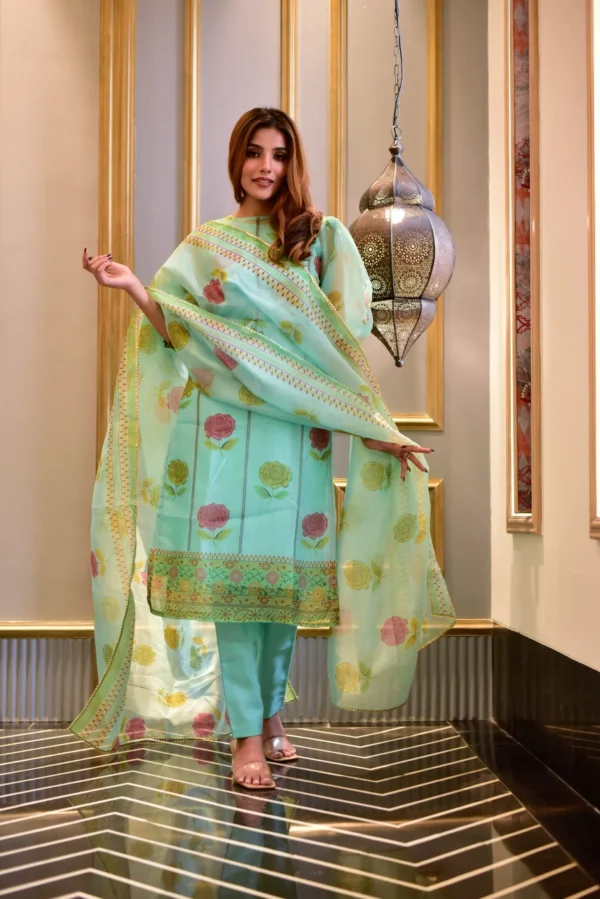 aanavi organza suit set - Image 4