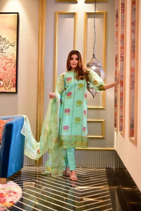 aanavi organza suit set - Image 5